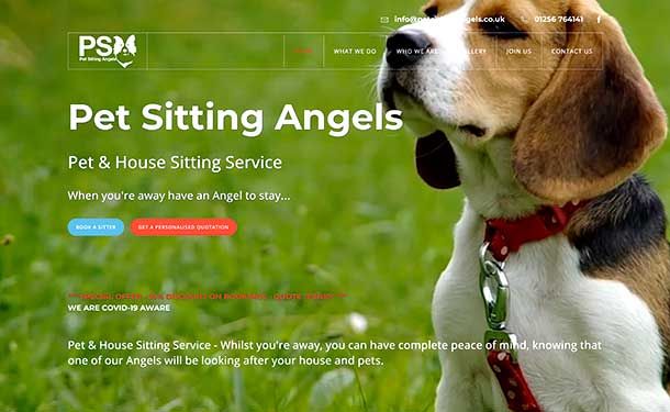 Pet Sitting Angels Website designed by Channel Media Creative