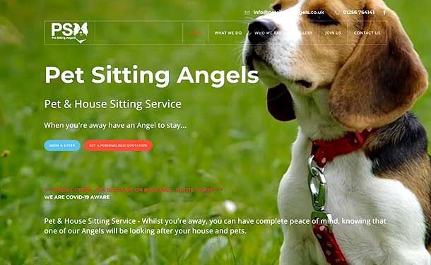 Channel Media Creative Website for Pet Sitting Angels